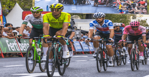 Tour of Flanders